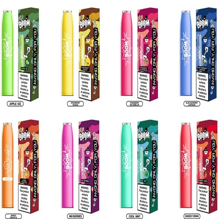 OEM/ODM 600 PUFFS Disposable Electronic Cigarette Vapes