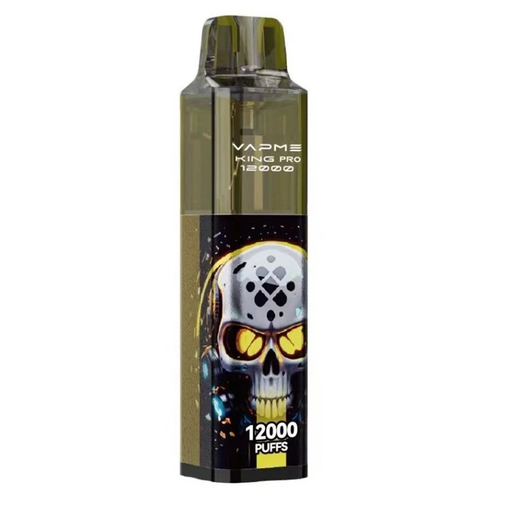 VAPME King Pro 12000