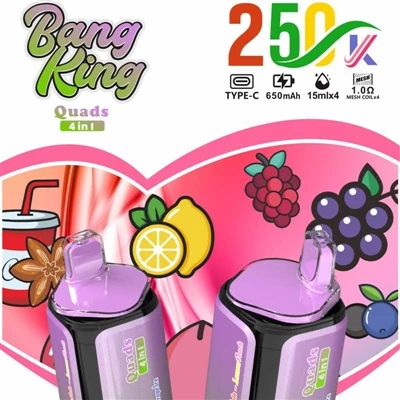 BANG KING Quads 4IN1 250000: Potpuno novo iskustvo u vrhunskim jednokratnim E...