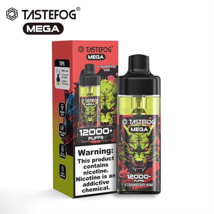 TASTEFOG MEGA 12000