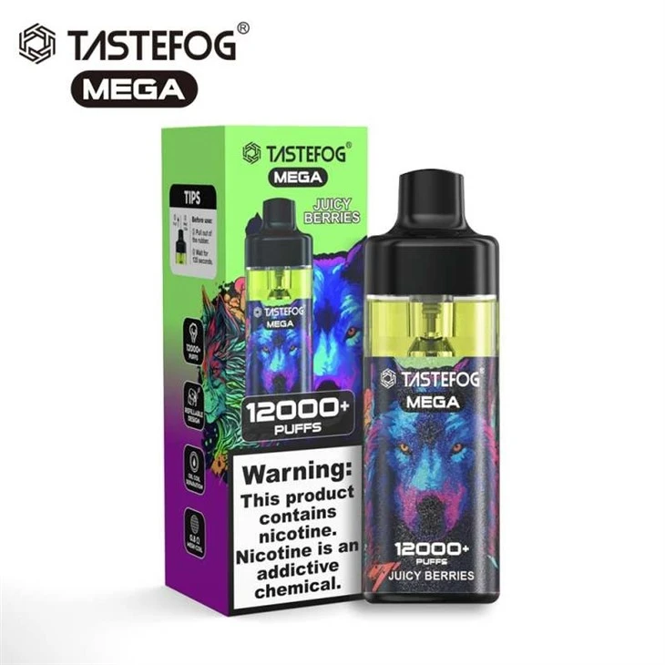 TASTEFOG MEGA 12000 5