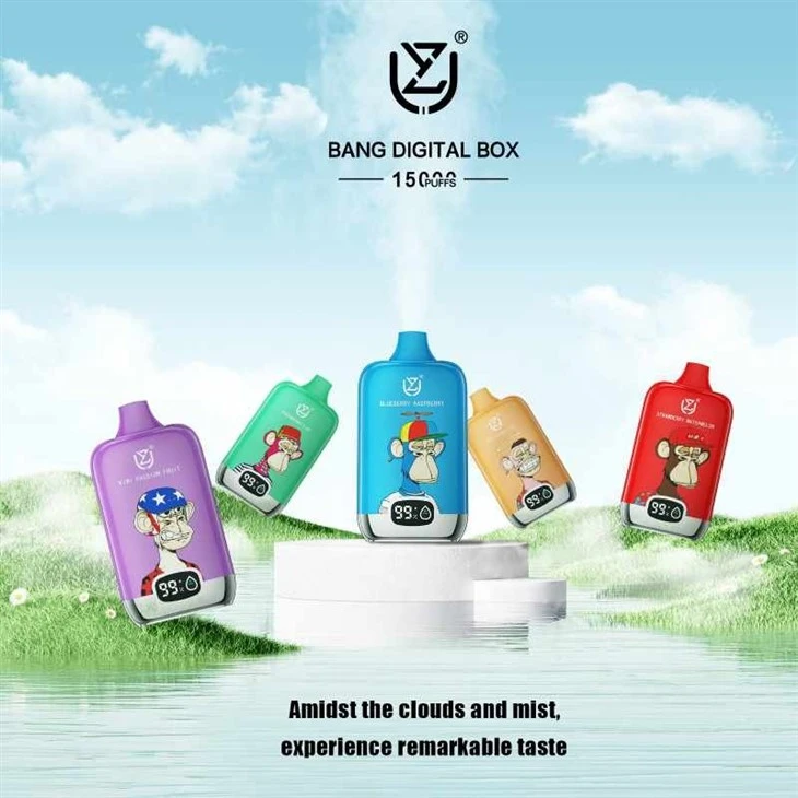 UZY BANG DIGITAL BOX 12000 5 UZY BANG DIGITAL BOX 12000 5