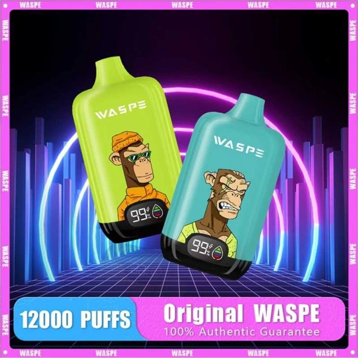 WASPE Digital Box 12000 2